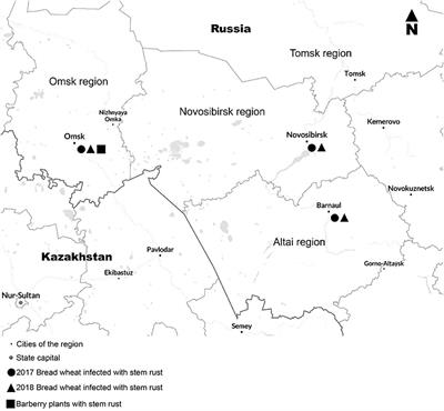 Virulence Phenotypes of Siberian Wheat Stem Rust Population in 2017–2018